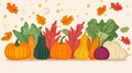 Fall harvest vegetables display Royalty Free Stock Photo