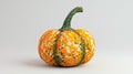 Isolated fall gourd on white background