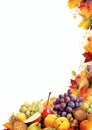 Cornucopia overflowing with fruits watercolor border frame Royalty Free Stock Photo