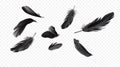 Crow feathers falling in air Royalty Free Stock Photo