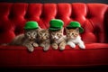 Cute St Patricks day cats with green hats on a sofa Royalty Free Stock Photo