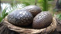 Fascinating Crocodile Eggs, Made with Generative AI Royalty Free Stock Photo