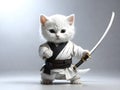 cat with a sword in kimono is a karate master.