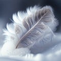 Feather on Snowflake, Made with Generative AI Royalty Free Stock Photo