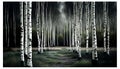 Birch Forest in Hobbitton, Middle Earth Inspired, Made with Generative AI