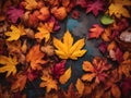 Vivivd moody multicolored autumn leaves background