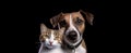 Ai generated image of a dog and a cat taking a selfie