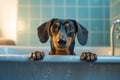 AI generated image of dog having bath Royalty Free Stock Photo