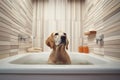 AI generated image of dog having bath Royalty Free Stock Photo