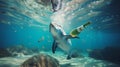 Dolphin swims in the sea polluted by bottles and garbage