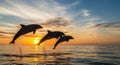Ai generated image of dolphins jumping in ocean at sunset Royalty Free Stock Photo