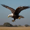 AI generated image of an eagle in flight