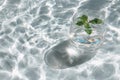 Mint water in clear glass with sunlight reflections and copy space, AI-generated Royalty Free Stock Photo