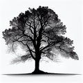 Sycamore Tree Silhouette, Made with Generative AI