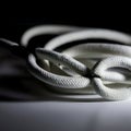 AI-Generated Image of Coiled White Rope with Black Fasteners Royalty Free Stock Photo