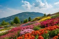 AI Generated Image Flower garden before hill and blue sky Royalty Free Stock Photo