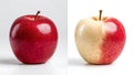 AI Generated Image of Fresh and Rotten Red Apples Comparison ai generated (ai generated) Royalty Free Stock Photo