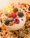 Fruit, berries, and granola in bowl