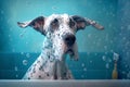 Ai generated image of a great dane taking a bath