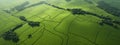 Green fields with geometric shapes and tree clumps from above