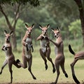 AI generated image of a herd of kangaroos jumping together in a forest