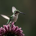 AI generated image of a humming bird in flight mode on a flower