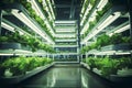 A hydroponic urban farm growing fresh produce indoors modern futurism background