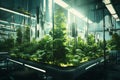 Hydroponic urban farm modern futurism background