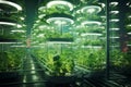 Hydroponic urban farm modern futurism background