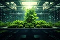 Hydroponic urban farms modern futurism background