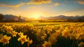 Daffodil Farm Vibrant Blossoms and Farm Freshness AI generated