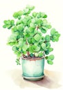 Jade Plant Chinese new year pattern