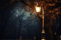 Old fashioned Streetlamp at Night Valentine Day background