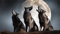 A wolf pack howling at the moon Royalty Free Stock Photo