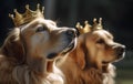 Ai generated image of a pair of golden retrievers Royalty Free Stock Photo