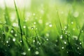 Peaceful morning dew on grass self care background