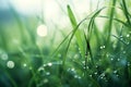 Peaceful morning dew on grass self care background