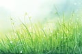 Peaceful morning dew on grass self care background