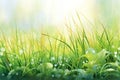 Peaceful morning dew on grass self care background