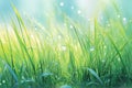 Peaceful morning dew on grass self care background