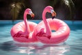 Pink Flamingo Pool Floats, pink life