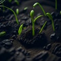 AI generated image of plants growing in germination sequence on soil Royalty Free Stock Photo