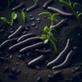 AI generated image of plants growing in germination sequence on soil Royalty Free Stock Photo