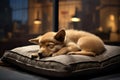 A pup resting on a cozy pet bed in a designated office dog area work office background