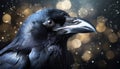 Portrait of a raven