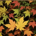 AI generated image showcasing yellow, green and red maple leaves during the autumn season