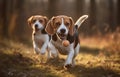 This ai-generated image shows two beagle dogs running around. Royalty Free Stock Photo