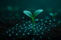 AI generated image of a small green seedling emerging from dark moist soil with glowing digital grid representing sensor network Royalty Free Stock Photo