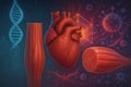 AI generated image of smooth cardiac and skeletal muscles with glowing DNA strand digital patterns and abstract cells representing Royalty Free Stock Photo