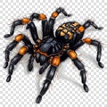 spider transparent background realistic element